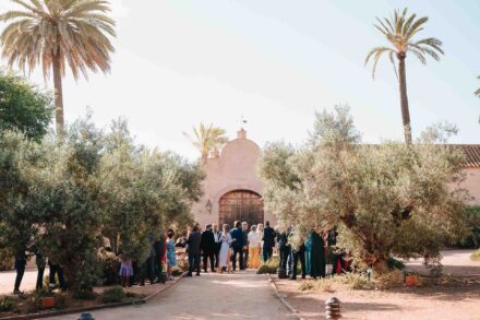 Los invitados esperan entre olivos y palmeras ante el portón de Hacienda Los Molinillos (Sevilla)