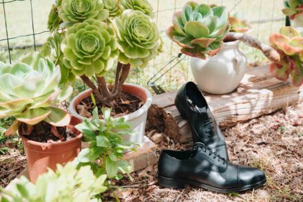 Los zapatos negros del novio sobre la tierra, junto a macetas de suculentas y un jarrón blanco