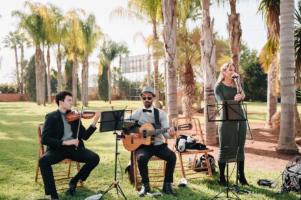 A violinist, a guitarist in a hat and a singer perform live on the lawn among palm trees