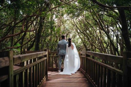 Los novios, de espaldas en una pasarela de madera, miran hacia el túnel de árboles del bosque