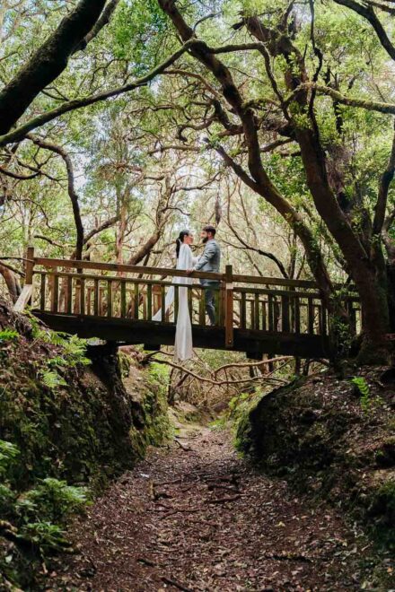 Los novios, frente a frente sobre un puente de madera que cruza un sendero hundido en el bosque