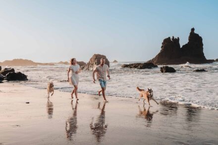 La pareja corre descalza por la orilla con sus dos perros, entre rocas y olas