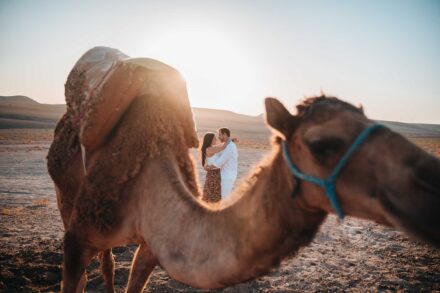Los novios se abrazan a contraluz en el desierto, enmarcados por el cuello de un camello