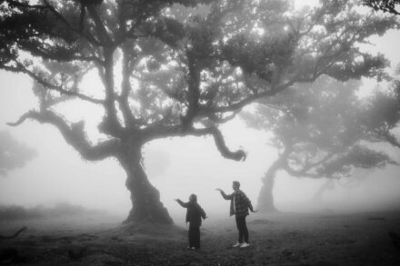 Los novios, frente a frente, abren los brazos bajo un gran árbol entre la niebla, en blanco y negro