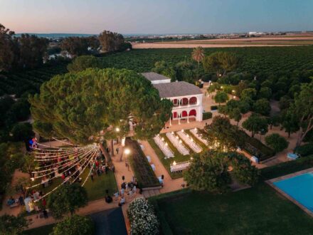 Vista aérea de la finca al anochecer: el cóctel bajo un pino iluminado, las mesas en el jardín y la piscina
