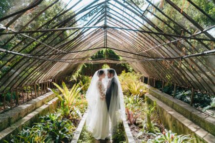 Los novios, cubiertos por el velo, se miran en un invernadero antiguo lleno de plantas tropicales