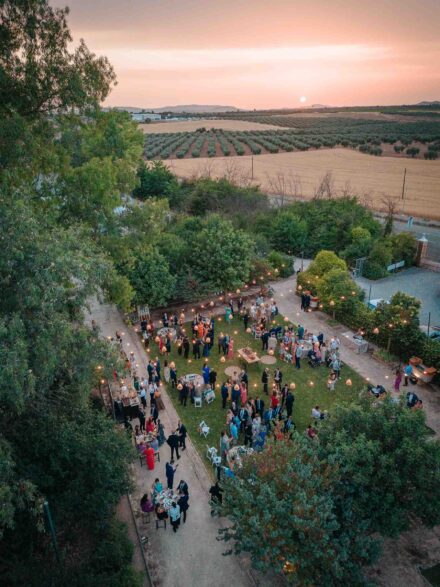 Vista aérea del jardín iluminado con los invitados al atardecer y olivares al fondo, en el Balneario El Raposo